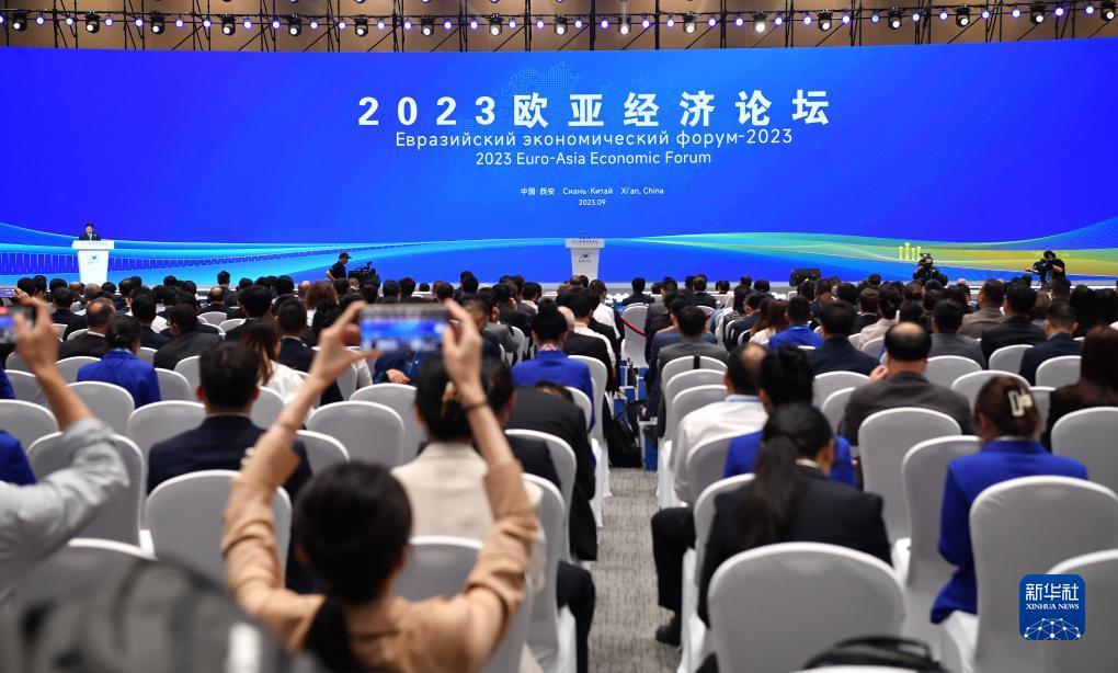 口袋棋牌官网k